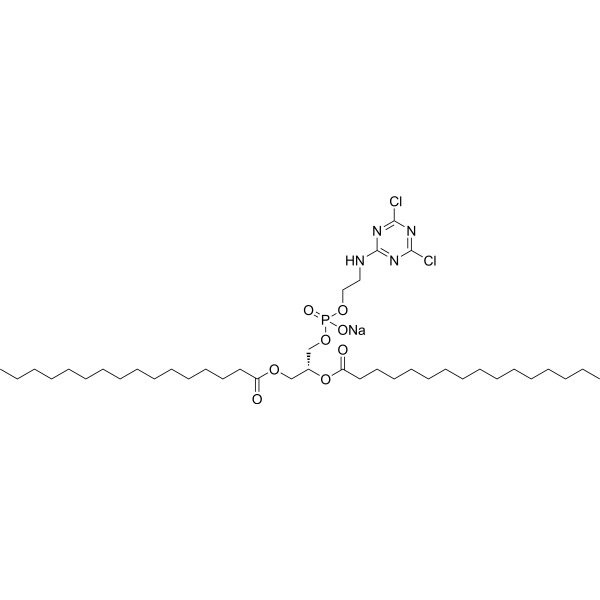 16:0 Cyanur PE 1246304-37-9